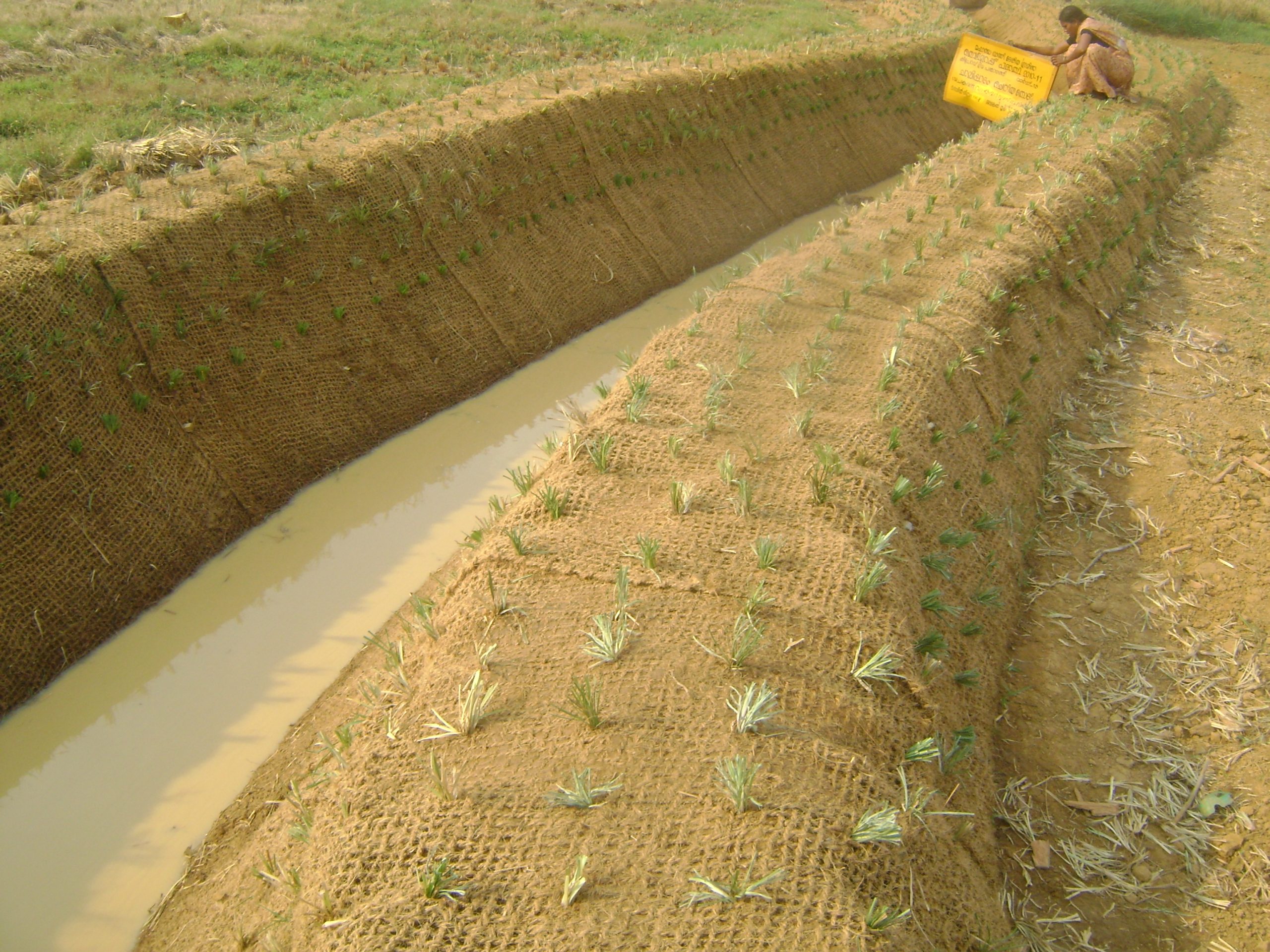 coir geotextile